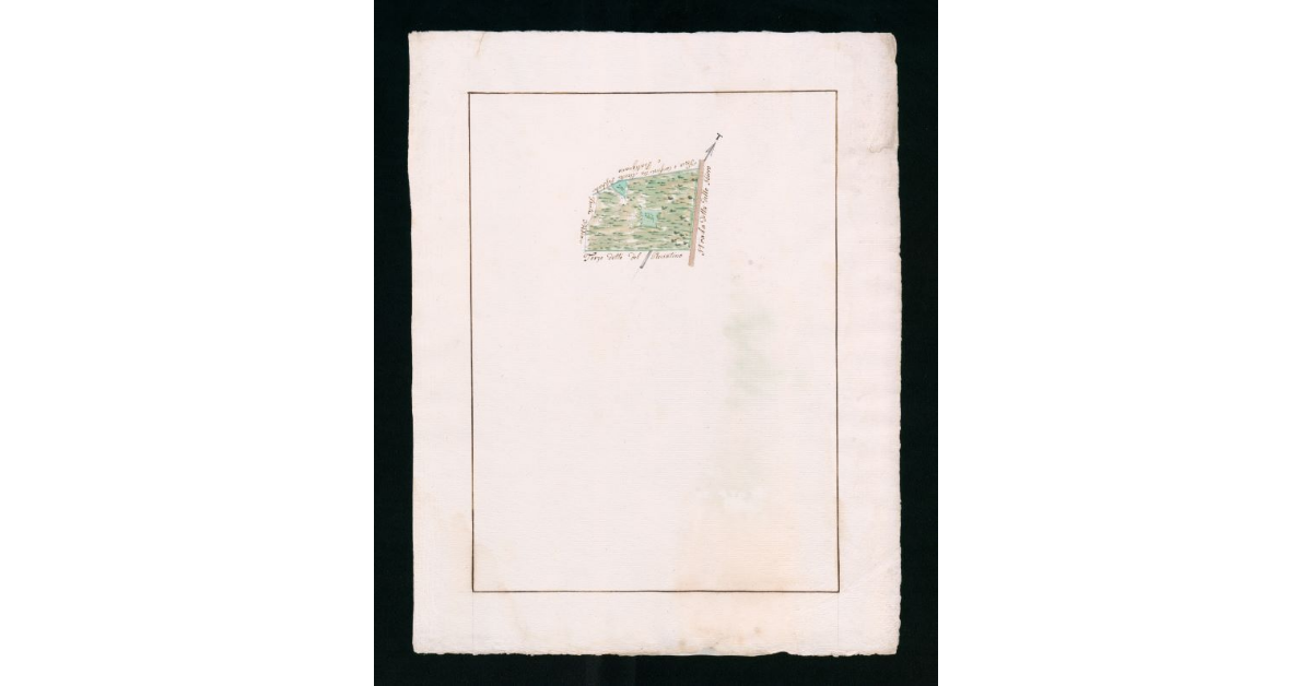 [Mappe pseudo-catastali di terre palustri e a seminativo nudo prive di insediamenti ubicate nella comunità di Grosseto]