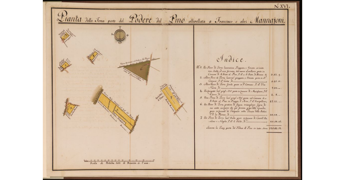 Pianta della Terza parte del Podere del Pino allivellata a Francesco Mannajoni
