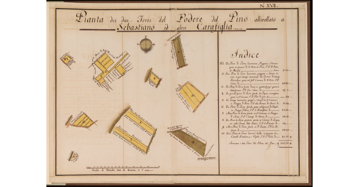 Pianta dei due Terzi del Podere del Pino allivellato a Sebastiano ed altri Carafiglia