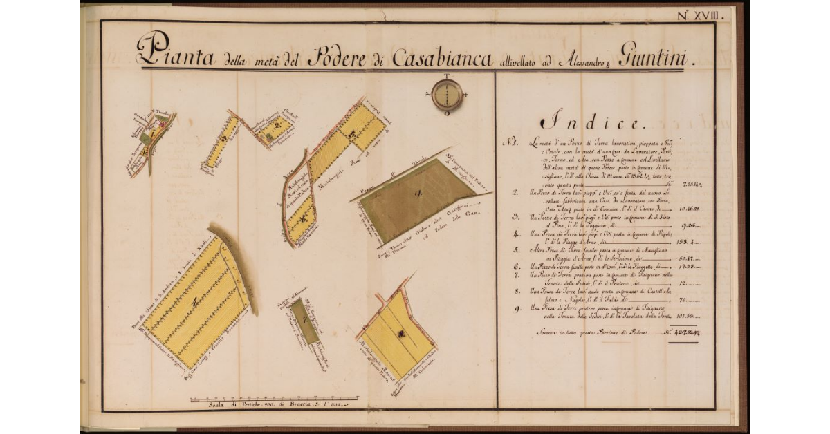 Pianta della metà del Podere di Casabianca, allivellato ad Alessandro ecc. Giuntini