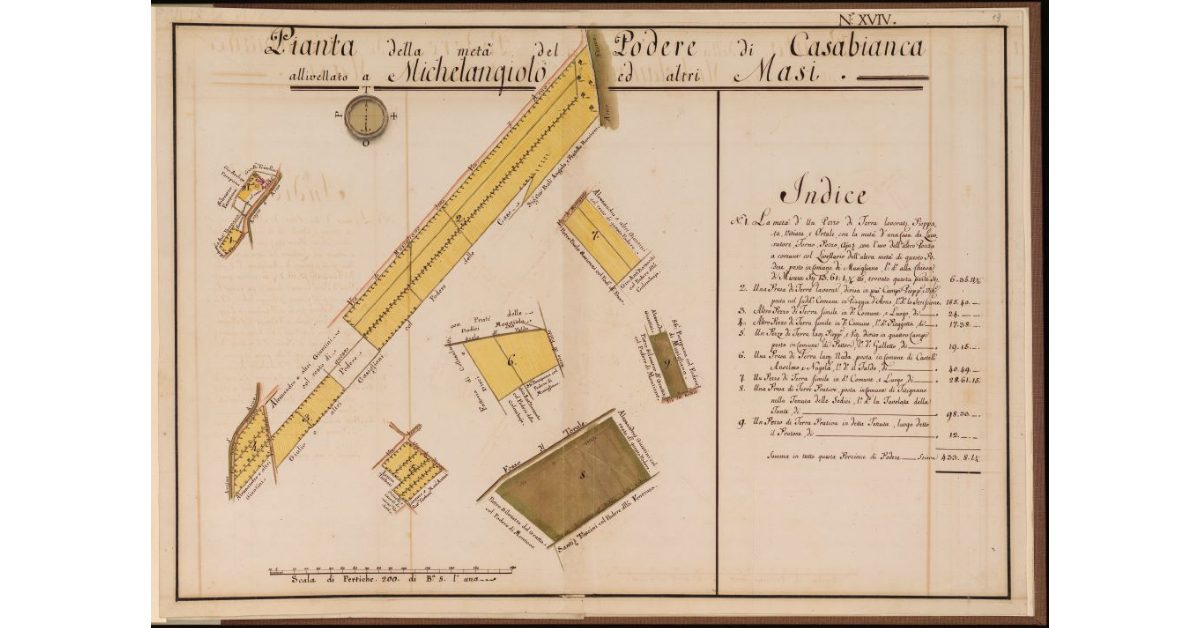 Pianta della metà del Podere di Casabianca, allivellato a Michelangiolo ed altri Masi