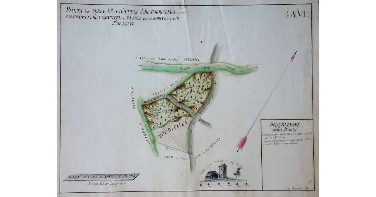 Pianta delle Terre della Ciabatta, e delle Torricella Spettanti alla Comunità di Casole parte sodive, e parte lavorative
