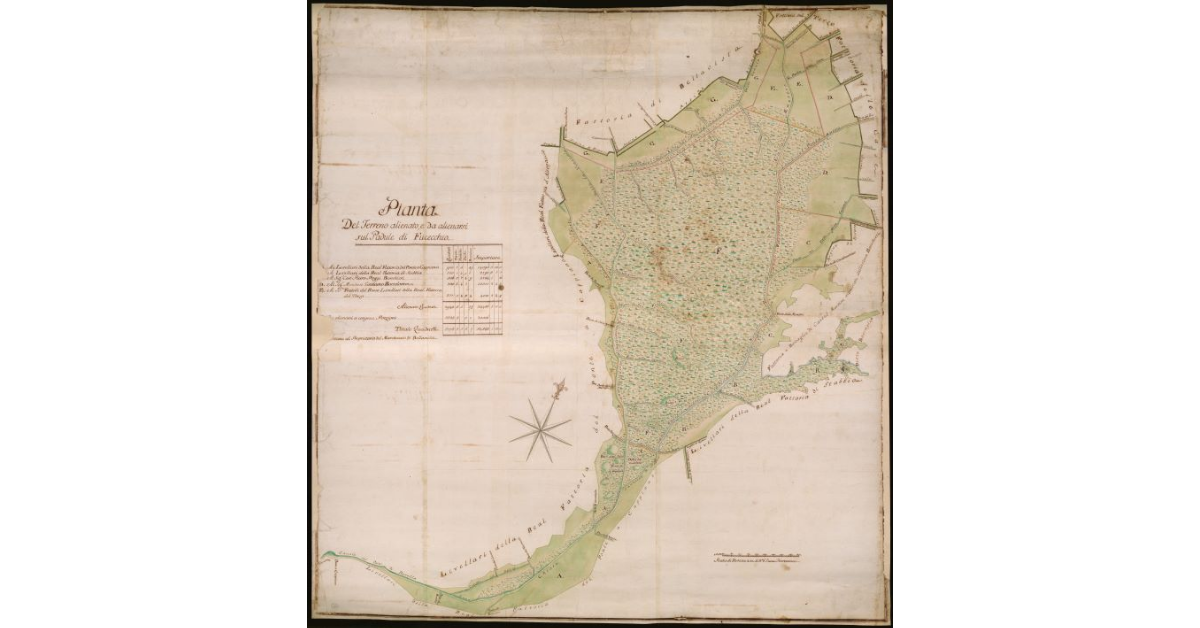 Pianta del terreno alienato e da alienarsi nel padule di Fucecchio
