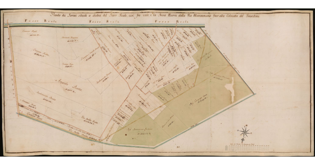Pianta dei terreni situati a destra del Fosso Reale, cioè fra esso e la Fossa Nuova dalla Via Maremmana fino alla colmata del Grascetone