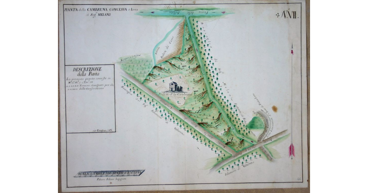 Pianta della Cambruna concessa à Linea à Signori Melani