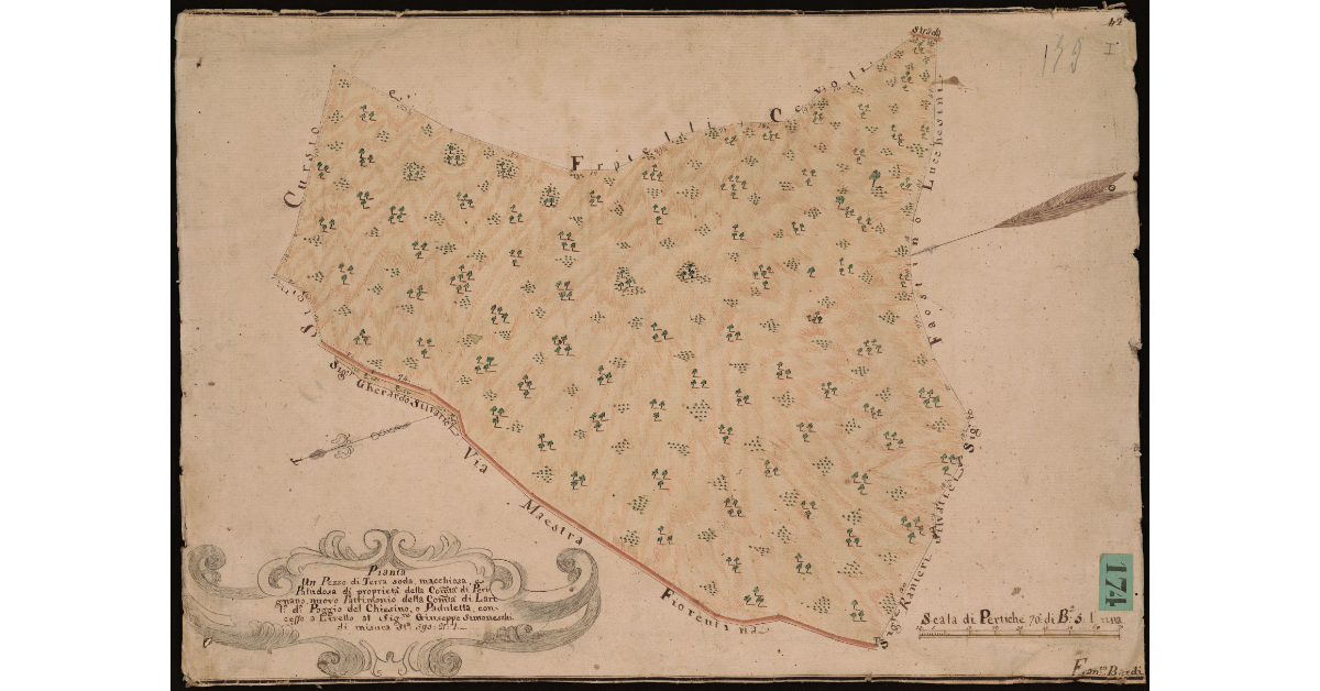 Pianta di un pezzo di terra soda, macchiosa e padulosa di proprietà della Comunità di Perignano luogo detto Poggio del Chiesino o Paduletta [...]