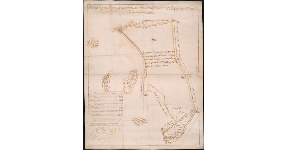 Pianta regolare di porzione dei beni attinenti alla comunità di Crespina, allivellati a diversi particolari