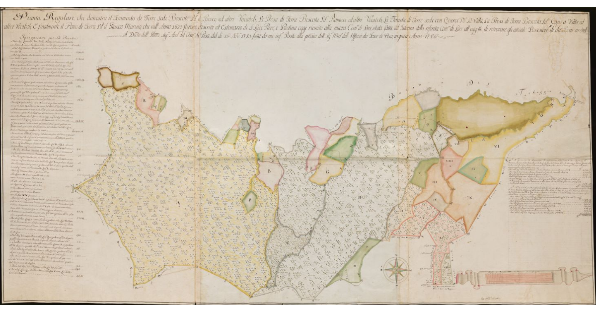 [Pianta di beni posti nella ex Comunità di S. Luce, riunita a quella di Lari]