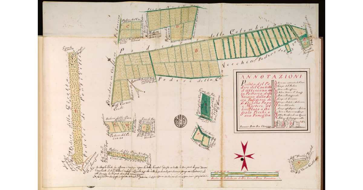 Pianta del Podere del Castello di attinenza della fattoria della Vaiana della Sacra Religione di S. Stefano Papa e Martire, allivellato a Angiolo Picchi e sua famiglia