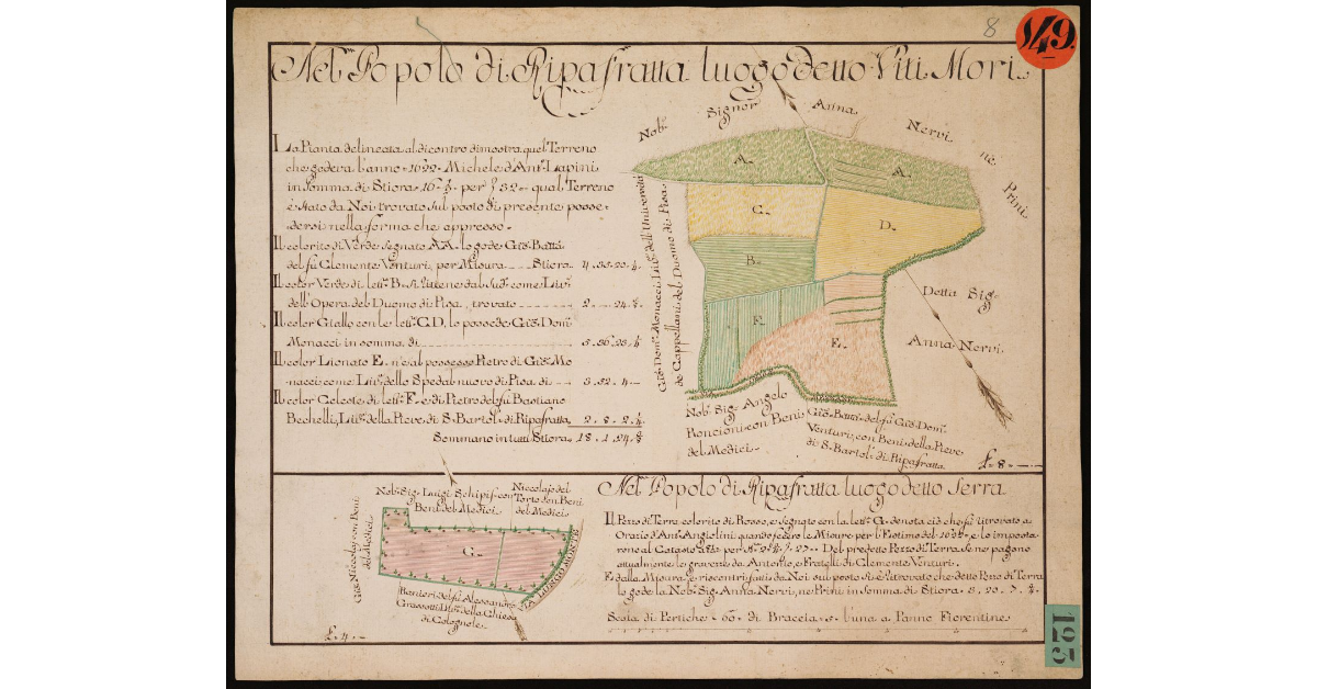Nel popolo di Ripafratta, luogo detto Viti Mori