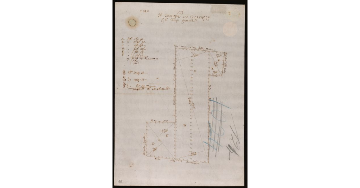 Nel comune di Culignola, luogo detto Campi Grandi