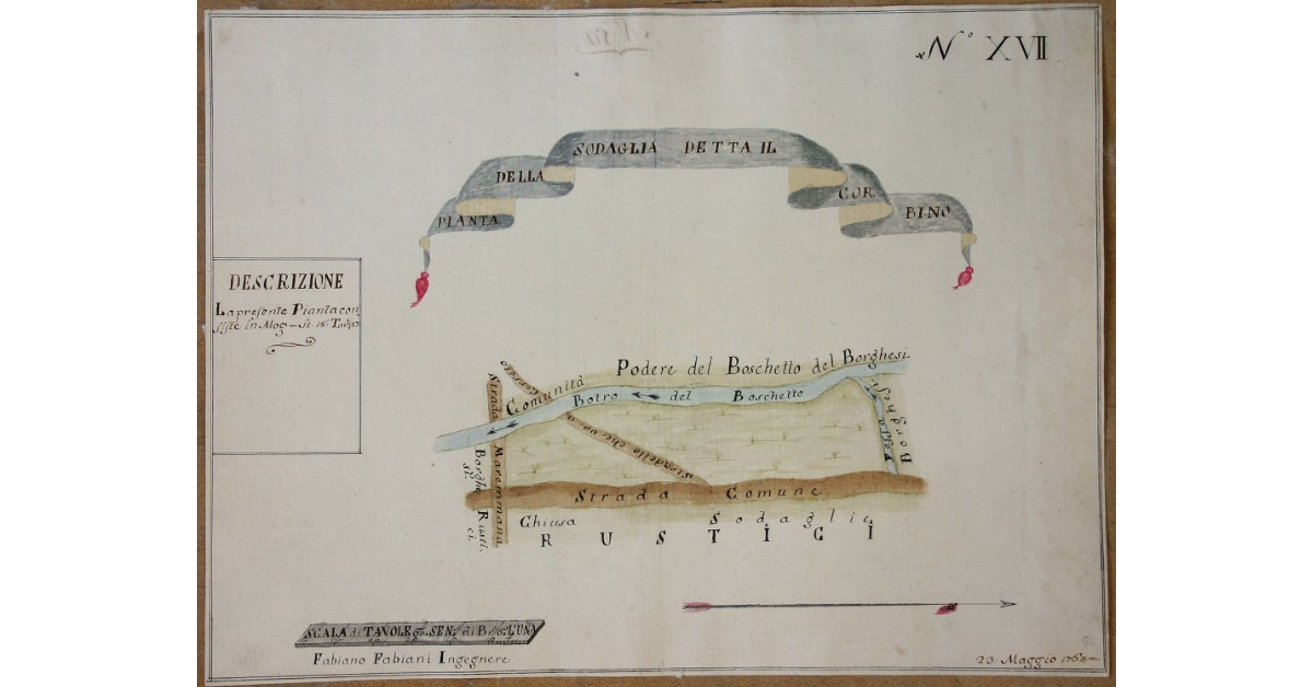 Pianta della Sodaglia detta il Corbino