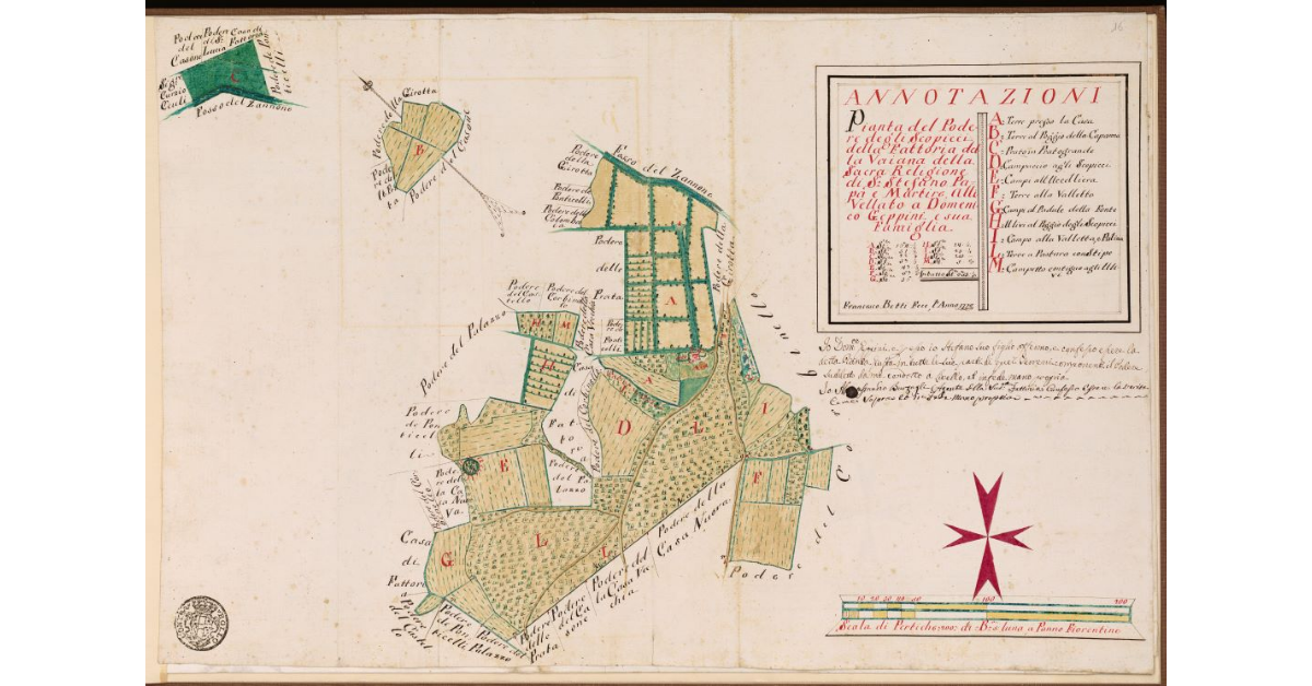 Pianta del Podere degli Scopicci di attinenza della Fattoria della Vaiana della Sacra Religione di S.Stefano Papa e Martire, allivellato a Domenico Geppini e sua famiglia