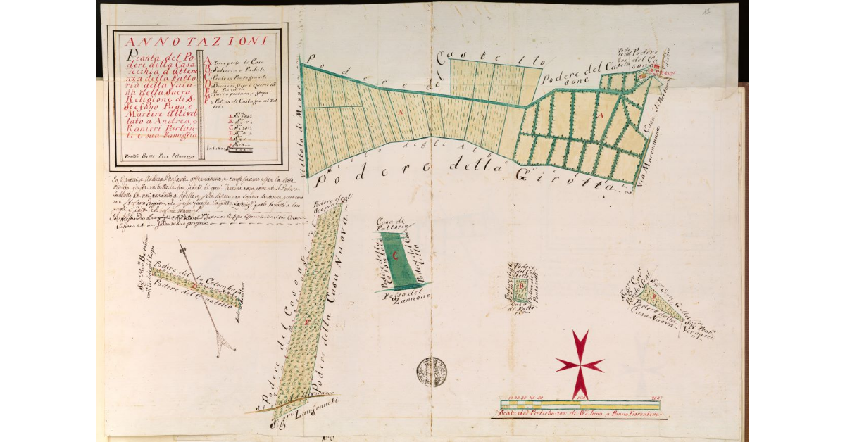 Pianta del Podere della Casa Vecchia di attinenza della Fattoria della Vaiana della Sacra Religione di S. Stefano Papa e Martire, allivellato ad Andrea e Ranieri Parlanti e sua famiglia