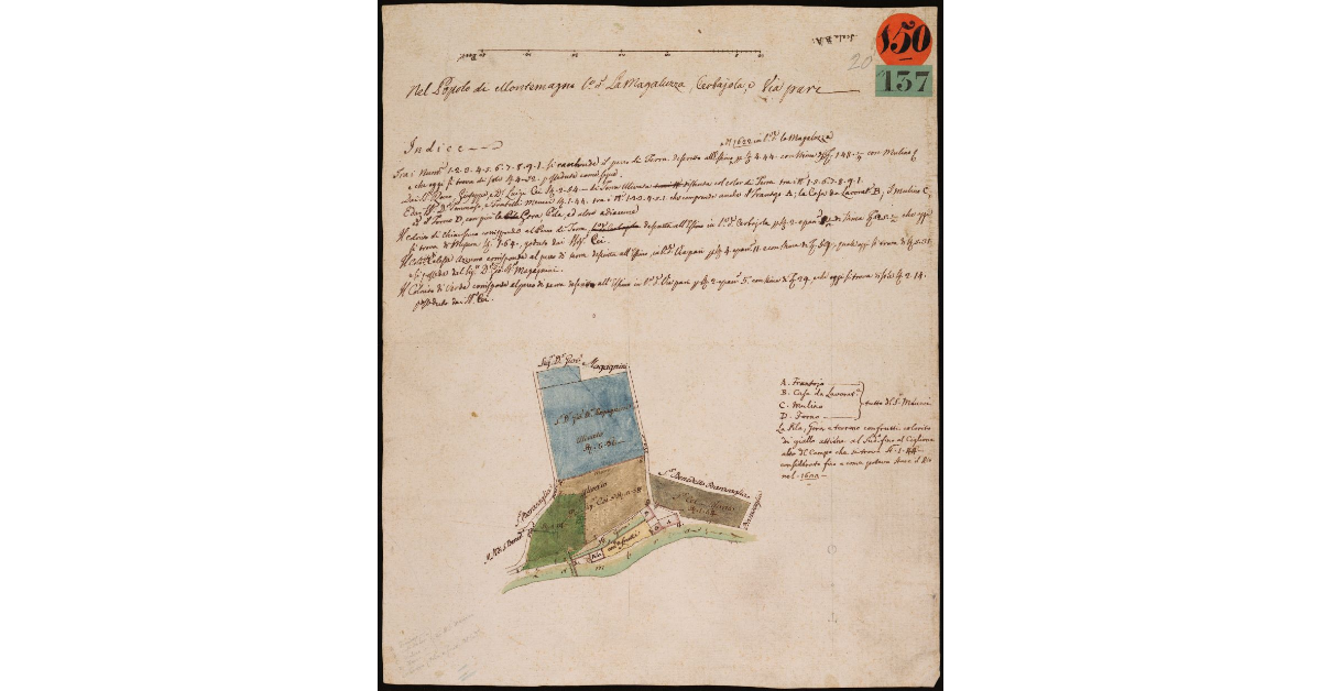 Nel popolo di Montemagno luogo detto la Magaluzza, Cerbaiola e via Pari