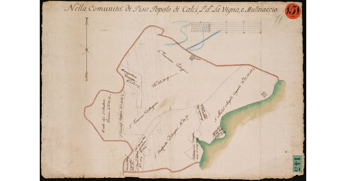 Nella comunità di Pisa, popolo di Calci, luogo detto la Vigna e Mulinaccio