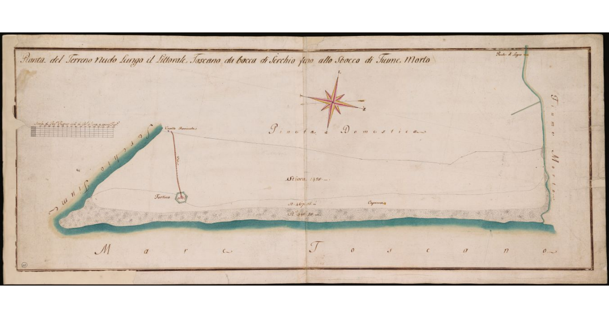 Pianta del terreno nudo lungo il litorale toscano da Bocca di Serchio sino allo sbocco del Fiume Morto