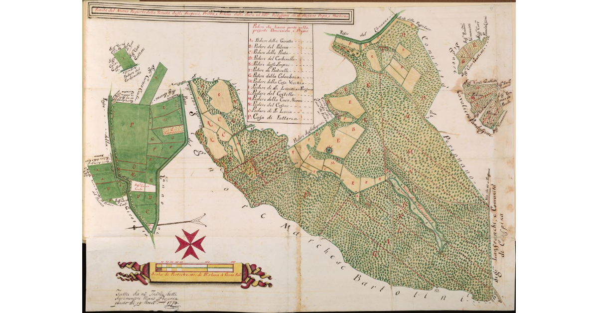 Pianta del Nuovo Reparto della Tenuta degli Scopicci, Prata e Palina. Della Sacra ed Ill.ma Religione di S. Stefano Papa e Martire