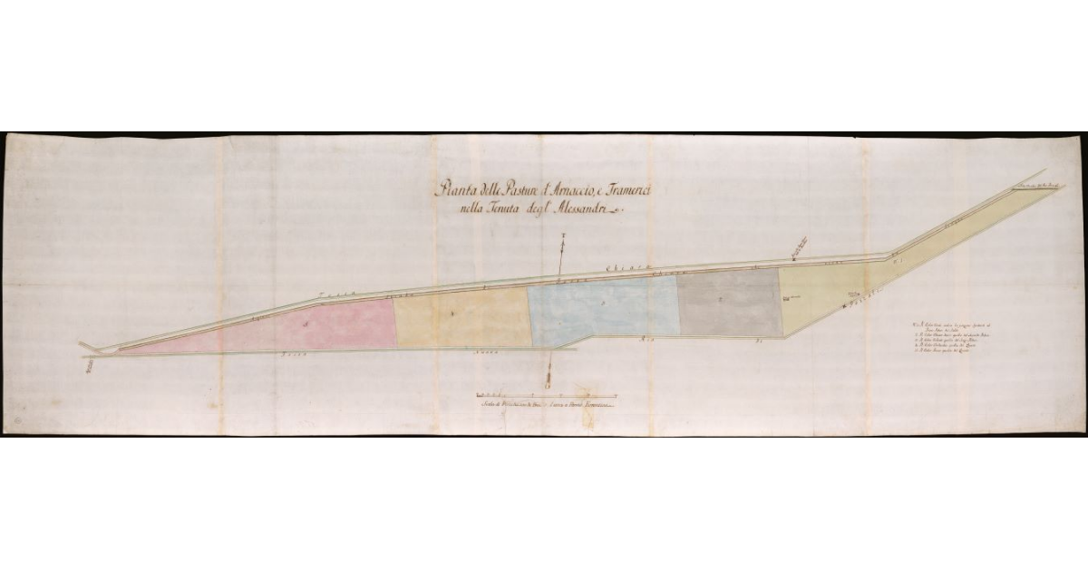 Pianta delle pasture di Arnaccio e Tramerici nella tenuta degli Alessandri