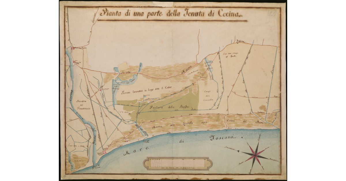 Pianta di una parte della tenuta di Cecina