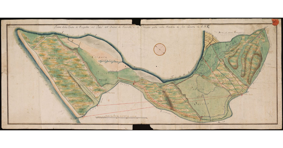 Pianta delle tenute di Piaggelta, del Padul dell'Oncino, di Femminello e di Palazzetto poste nella macchia di San Rossore di S.A.R