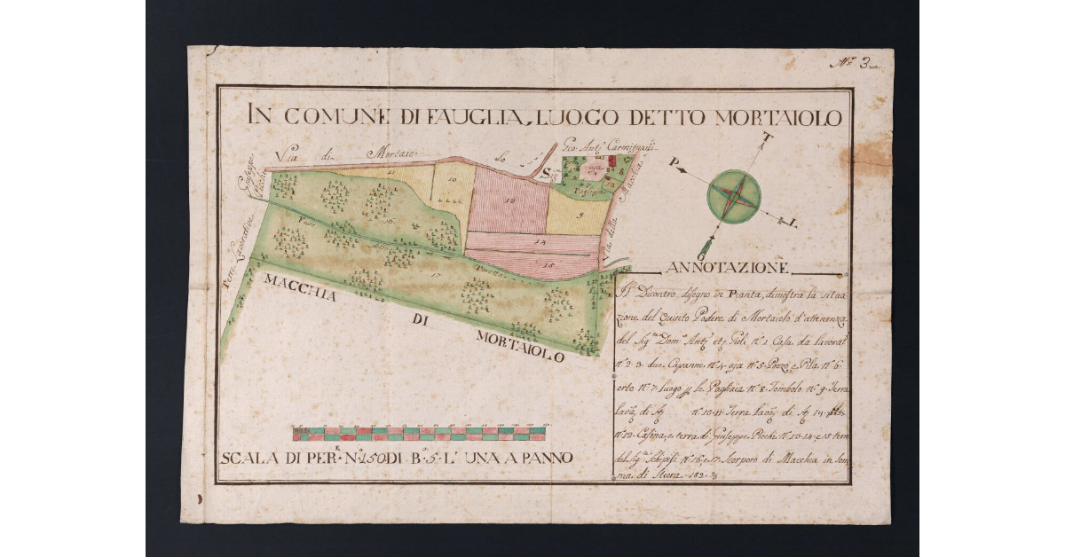 In comune di Fauglia, luogo detto Mortaiolo