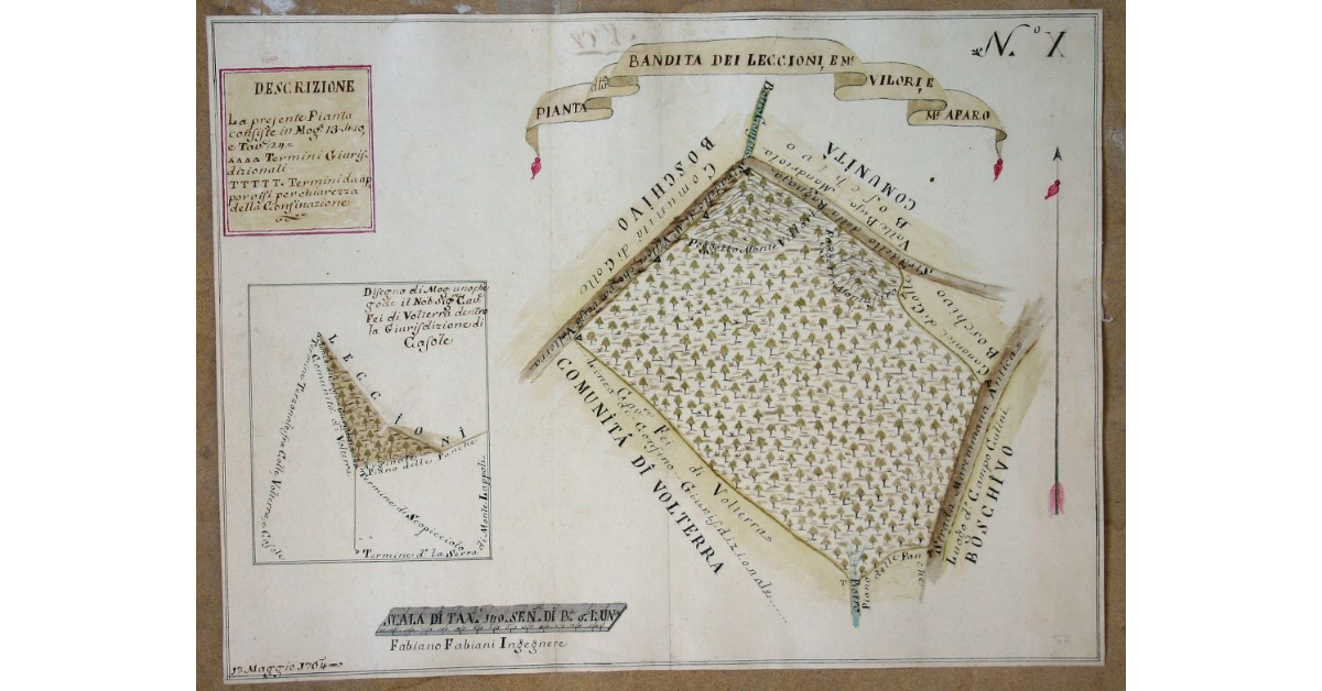 Pianta della Bandita dei Leccioni, e Monte Vilori, e Monte Afaro