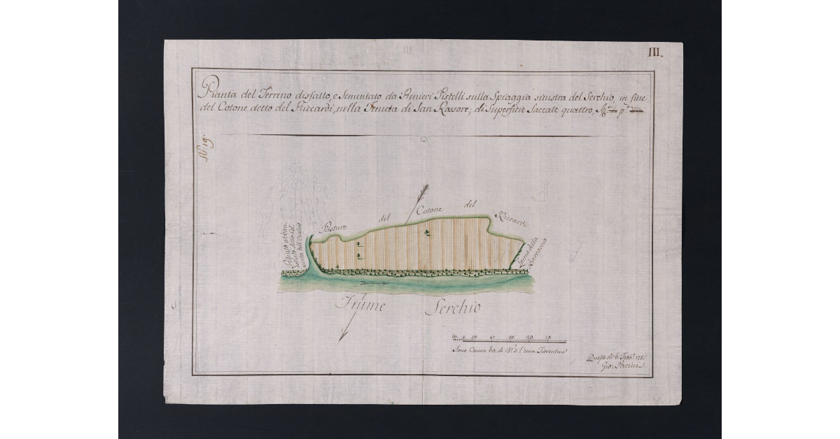 Pianta del Terreno disfatto, e sementato da Renieri Pistelli sulla spiaggia sinistra del Serchio, in fine del Cotone detto del Riccardi, nella Tenuta di San Rossore, di superficie saccate quattro, St[aia] _ p[ertiche] _