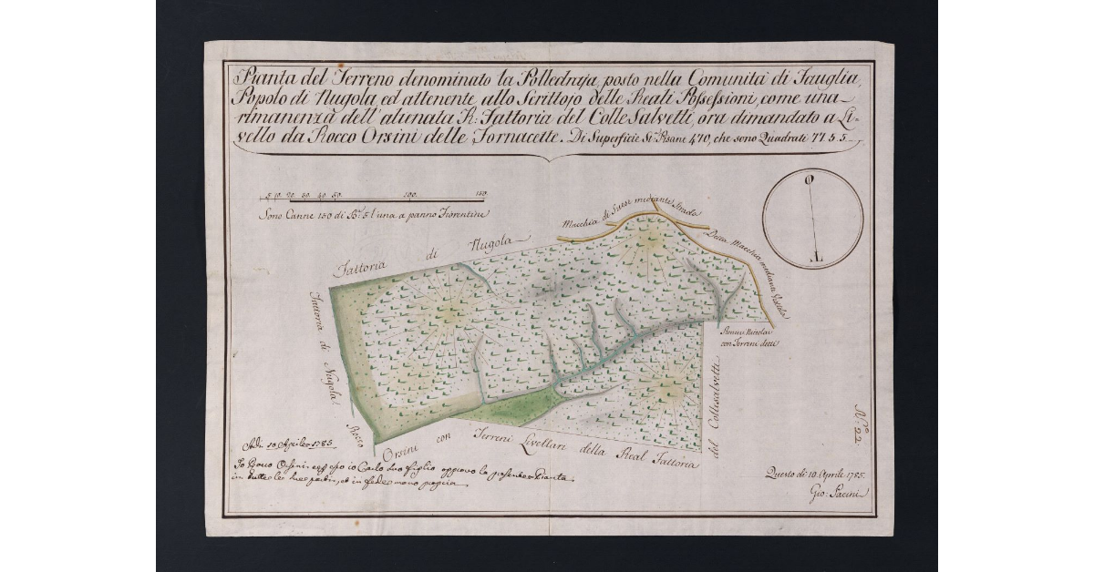Pianta del Terreno denominato la Polledraja, posto nella Comunità di Fauglia, nel Popolo di Nugola, ed attenente allo Scrittoio delle Reali Possessioni, come una rimanenza dell'alienata R. Fattoria del Colle Salvetti, ora dimandato a Livello da Rocco Orsini delle Fornacette
