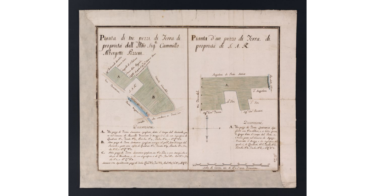 [Piante dei terreni in permuta fra Camillo Albergotti Pezzoni e la fattoria del Bastardo di S.A.R.]