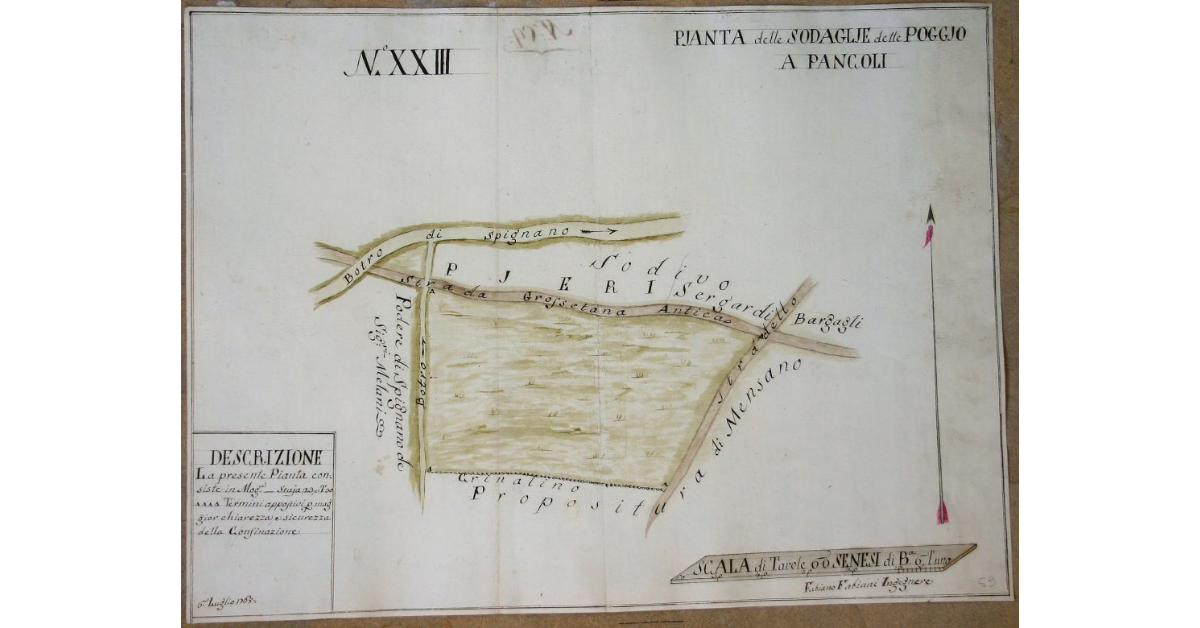 Pianta delle Sodaglie dette Poggio a Pancoli