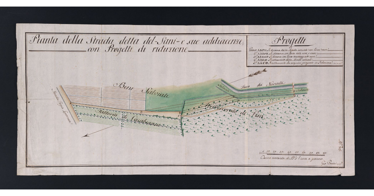 Pianta della Strada detta del Sani e sue adiacenze; con Progetti di riduzione