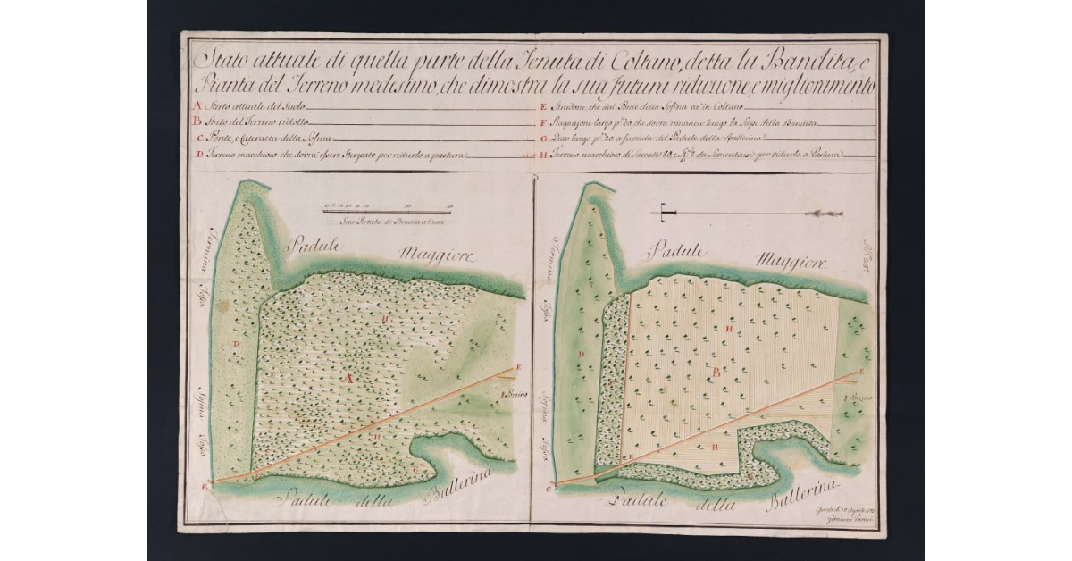 Stato attuale di quella parte della Tenuta di Coltano, detta la Bandita, e Pianta del Terreno medesimo, che dimostra la sua futura riduzione, e miglioramento