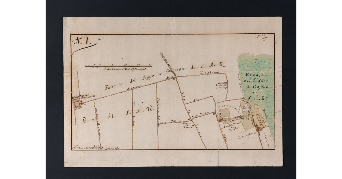[Pianta del podere del Pinzale di S.A.R. e del podere di Tavola del marchese Manfredi Malaspina]