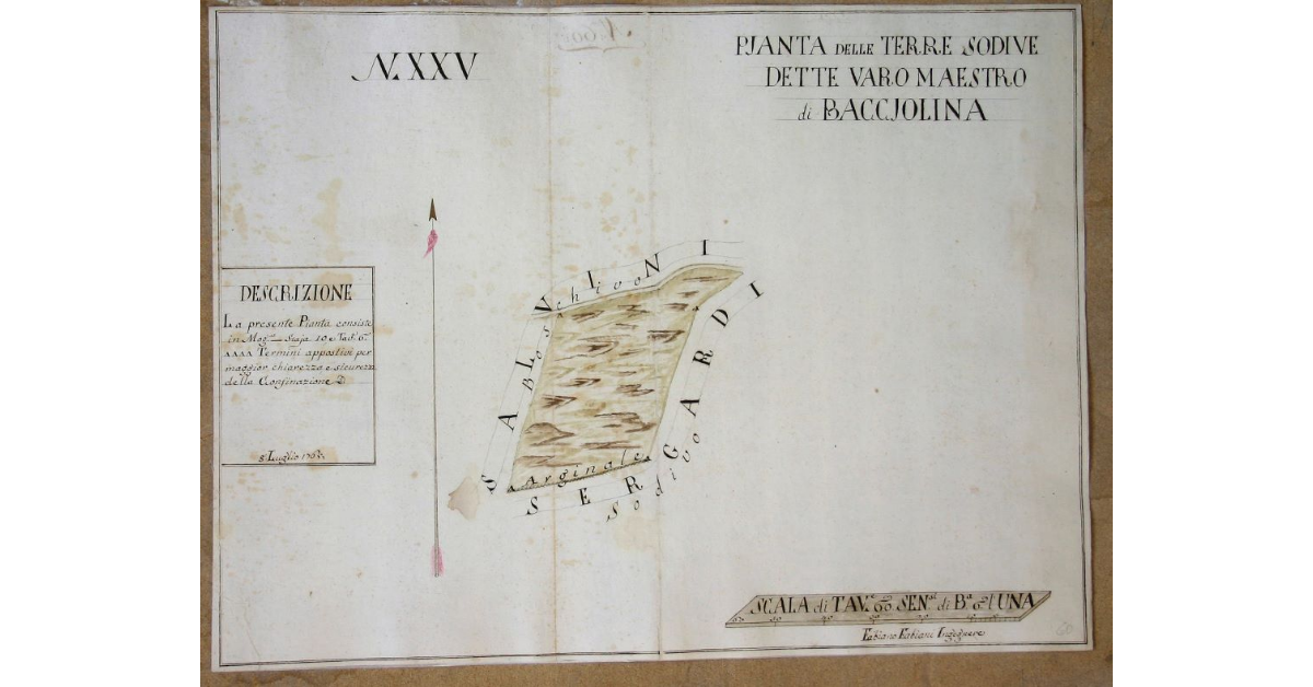 Pianta delle Terre Sodive dette Varo Maestro di Baccjolina
