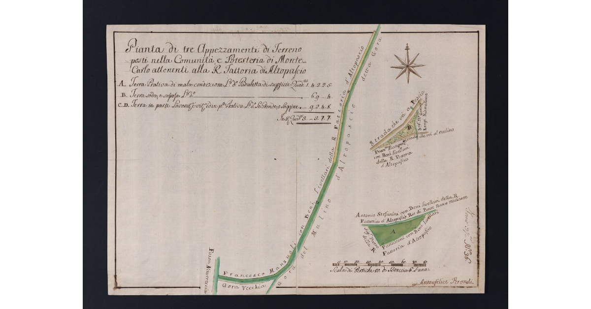 Pianta di tre Appezzamenti di Terreno posti nella Comunità, e Potesteria di Monte Carlo attenenti alla R. Fattoria di Altopascio