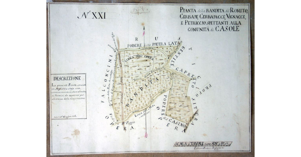 Pjanta della Bandita del Romito, Cerbaje, Cerbajacce, Vignacce, e Petriccjo Spettanti alla Comunità di Casole