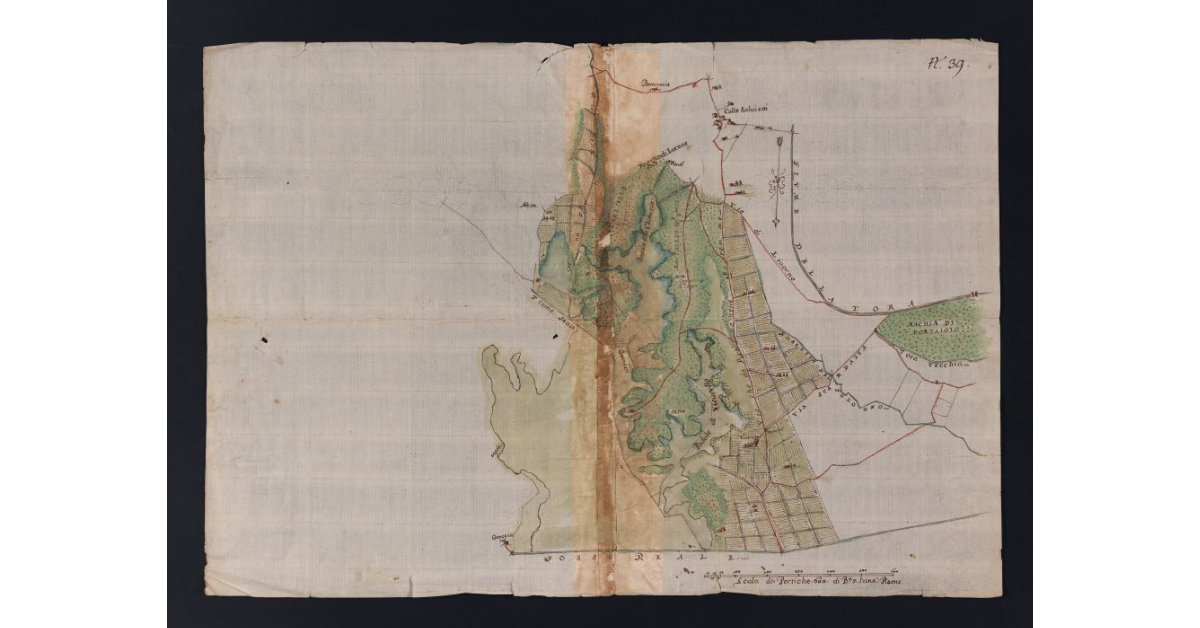 [Pianta di alcuni terreni adiacenti alla fattoria di Collesalvetti]