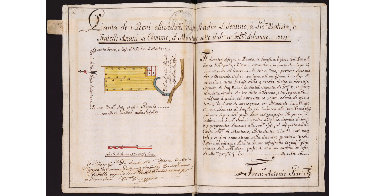Pianta dei Beni allivellati dalla Badia di S. Savino a Gio: Batista e Fratelli Ascani in Comune di Montione [...]