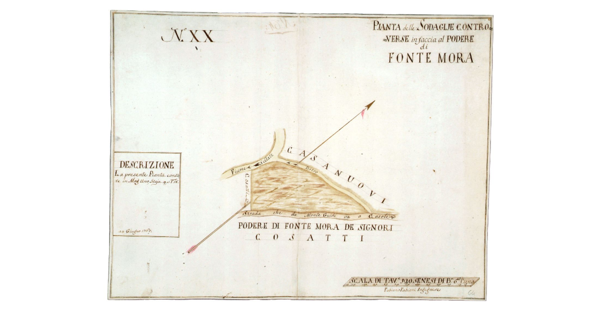 Pianta delle Sodaglje controverse in faccia al podere di Fonte Mora