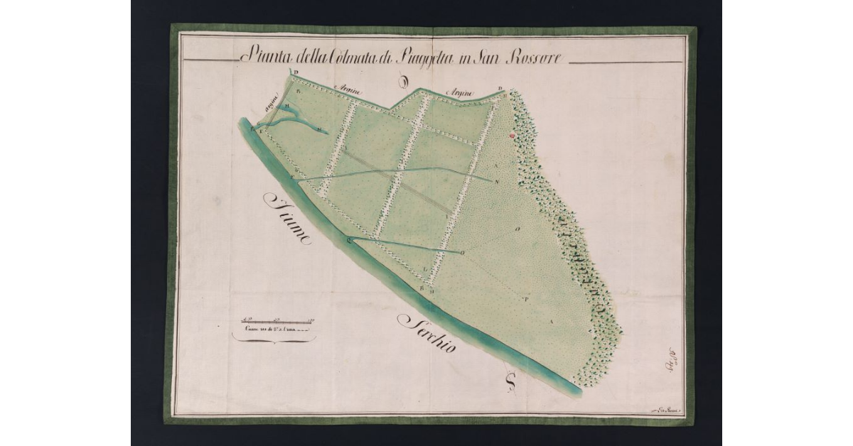 Pianta della Colmata di Piaggelta in San Rossore