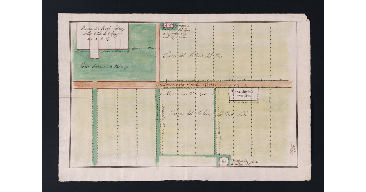 [Pianta delle terre del podere del Pino]