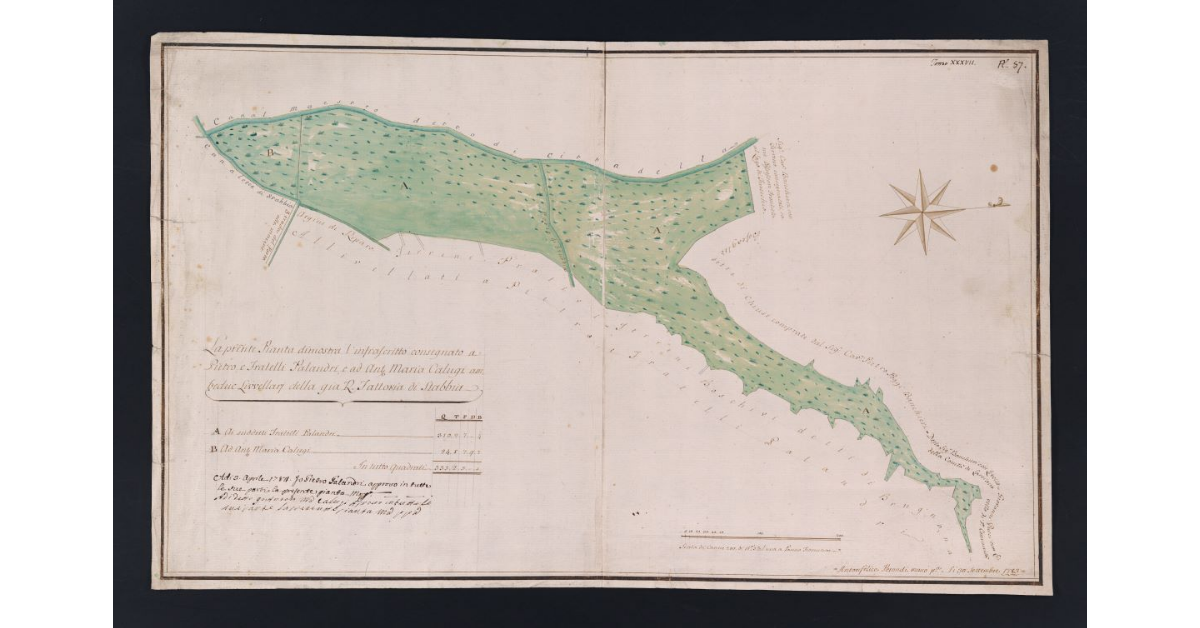 [Pianta dei terreni concessi a livello a Pietro Calandri e fratelli e ad Antonio Maria Calugi]