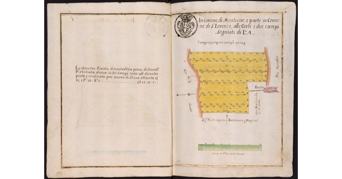 In Comune di Montione e parte in Comune di S. Lorenzo, alle Corti [...]