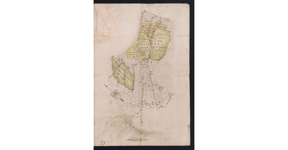 [Pianta della bandita di Campiglia]