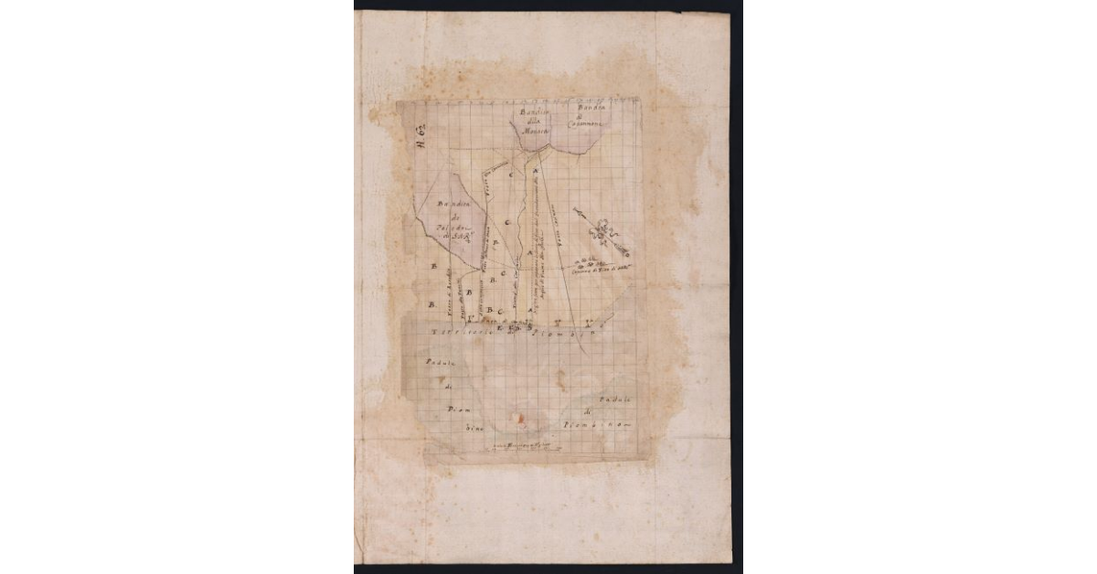 [Pianta della bandita di Campiglia]