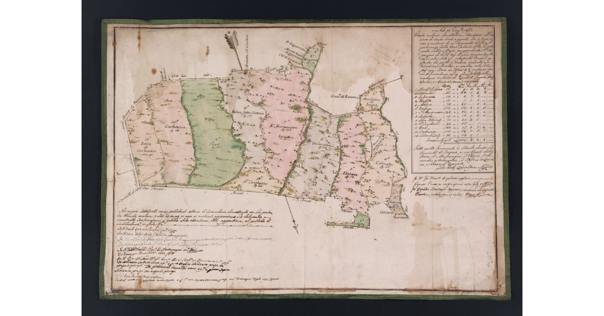 [Pianta dei terreni, perlopiù boschivi, posti alla Magia di pertinenza della fattoria delle Ginestre da vendersi a Rinaldo Bruscagli]