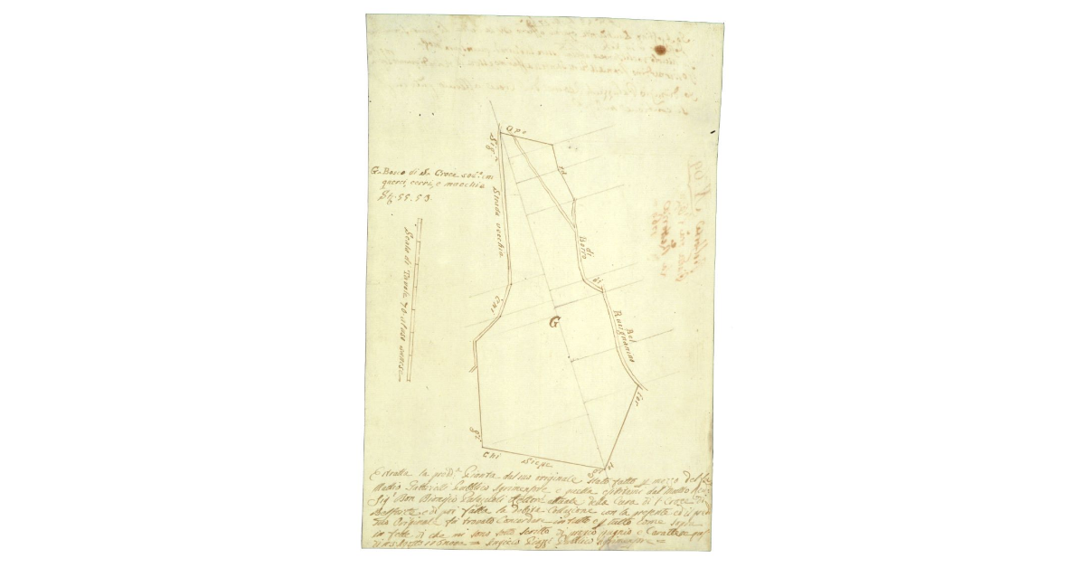 Belforte. Pianta fra l’Opera e La Rettoria