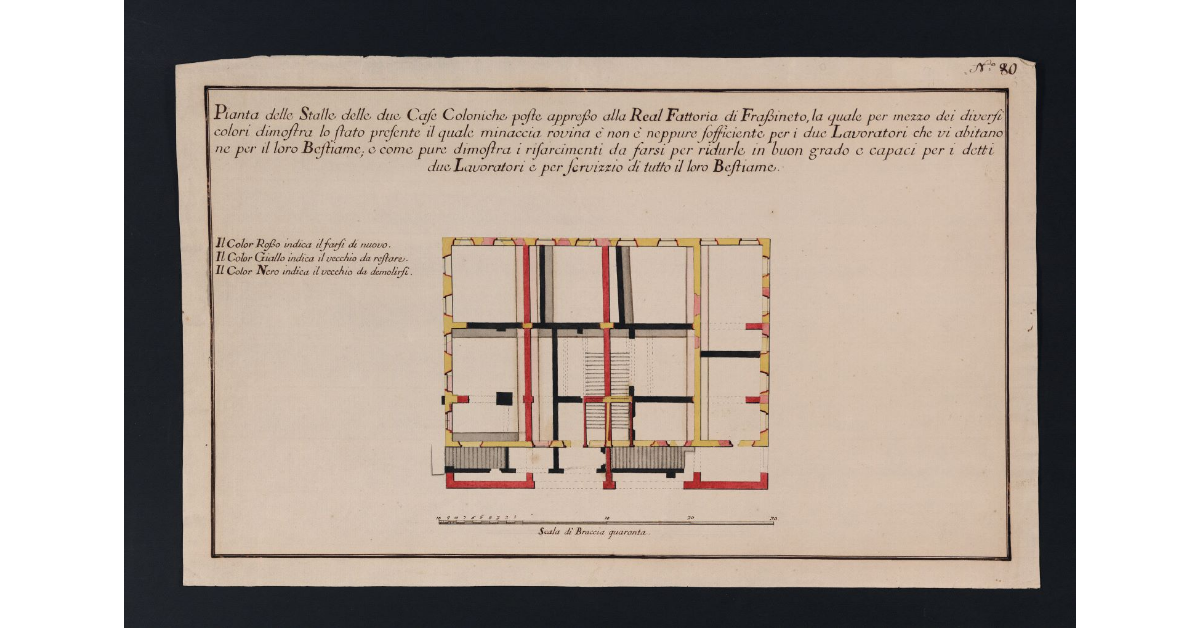 Pianta delle Stalle delle due Case Coloniche poste appresso alla Real Fattoria di Frassineto, la quale per mezzo dei diversi colori dimostra lo stato presente il quale minaccia rovina e non è neppure sofficiente per i due Lavoratori che vi abitano ne per il loro Bestiame, e come pure dimostra i risarcimenti da farsi per ridurle in buon grado e capaci per i detti due Lavoratori e per servizzio di tutto il loro Bestiame