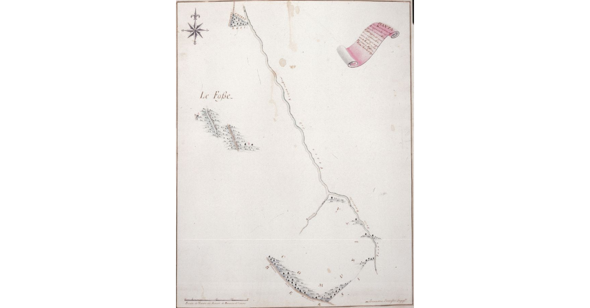 Pianta del Marroneto del Acquacade nel quale vi sono n° 40 Castagni, ai quali si uniscono n° 3 altri Castagni segnati A. B. posti in luogo detto le Fosse